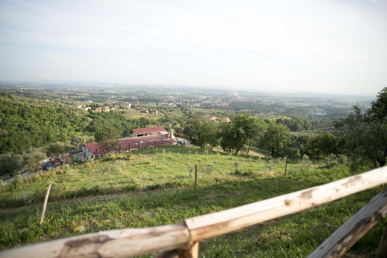 La Dispensa-Bio Agriturismo Bed & Breakfast Lamporecchio Exterior foto